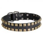 2 Rows Brass Studded Leather Dog Collar for Walking and Training