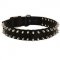 Dog Nylon Collar Spiked