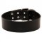 Extra Wide Leather Dog Collar for Professional Training