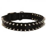 Dog Nylon Collar Spiked