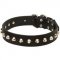 Gorgeous Wide Leather Dog Collar - Fashion Exclusive Design