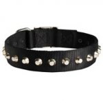 Exclusive Nylon Dog Collar with Awesome Nickel Cones