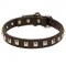 Dog Leather Collar Caterpillar Design