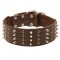 Extra Wide Leather Spiked and Studded Dog Collar