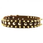 Spiked and Studded Dog Leather Collar