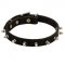Dog Leather Collar Spiked 3/4 Inch