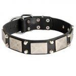 Leather Dog Collar Decorated with Nickel Cones and Plates