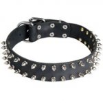 Leather Dog Collar with 2 Rows of Nickel Spikes