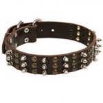 Dog Spikes and Studs Rows Leather Dog Collar