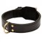 Training 2 Ply Leather Dog Collar