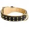 Royal Leather Dog Collar Spiked Padded with Nappa Leather