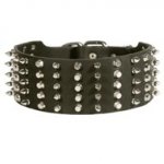 Dog Leather Collar Spiked and Studded