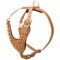 Brass Spiked Leather Dog Harness for Fashion Walking