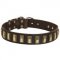 Leather Dog Collar with Awesome Brass Plates