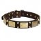Leather Dog Collar with Studs and Plates