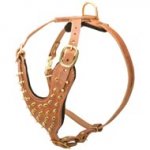Brass Spiked Leather Dog Harness for Fashion Walking