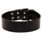 Extra Wide Leather Dog Collar for Professional Training