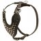 Adjustable Leather Dog Harness Studded for Fashion Walking