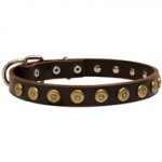 Leather Dog Collar with Brass Dotted Circles for Fashion Walking