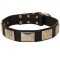 Leather Dog Collar with Large Nickel Plates