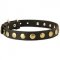 Leather Dog Collar with Brass Circles for Fashionable Walking