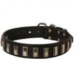 Dog Leather Collar with Shiny Plates