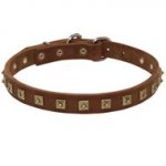 Handcrafted 1 Row Square Studded Leather Dog Collar