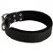 Dog Durable Padded Leather Collar 40 mm