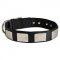 Nylon Dog Collar Massive Nickel Plates