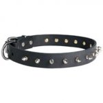 Dog Leather Collar Spiked 30 mm