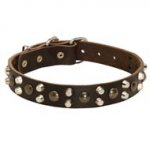 Leather Dog Collar With Studs and Pyramids