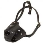 Everyday Leather Dog Muzzle for Training