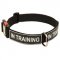 All Weather Nylon Dog Collar with ID Patches
