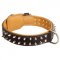 Spiked Dog Collar Padded with Nappa Leather