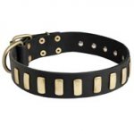 Fancy Leather Dog Collar with Brass Plates