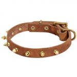Walking Designer Leather Dog Collar with Brass Spikes