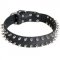 Leather Dog Collar with 2 Rows of Nickel Spikes