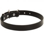 Dog Leather Dog Collar 1 inch Wide