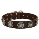 Leather Dog Collar with Blue Stones for Stylish Walking