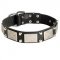 Leather Dog Collar Decorated with Nickel Cones and Plates