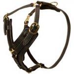 Padded Leather Dog Harness for Agitation Training