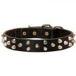 Fancy Design Leather Dog Collar with Nickel Pyramids