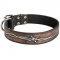 Handpainted Leather Dog Collar with Barbed Wire Drawing