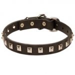 Dog Leather Collar Caterpillar Design
