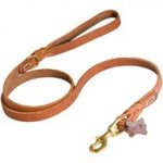 Walking and Training Leather Dog Leash with Comfy Handle