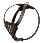 Designer Leather Dog Harness with Adjustable Straps for Puppy Walking and Training