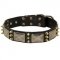 Dog Spiked Leather Collar with Nickel Plates