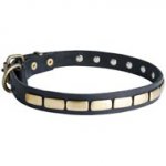 Dog Leather Collar Brass Plates 25 mm