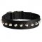 Exclusive Nylon Dog Collar with Awesome Nickel Cones