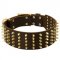 Wide Spiked Leather Dog Collar